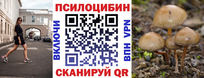 Купить Карталы Галлюциногенные грибы мицелий
